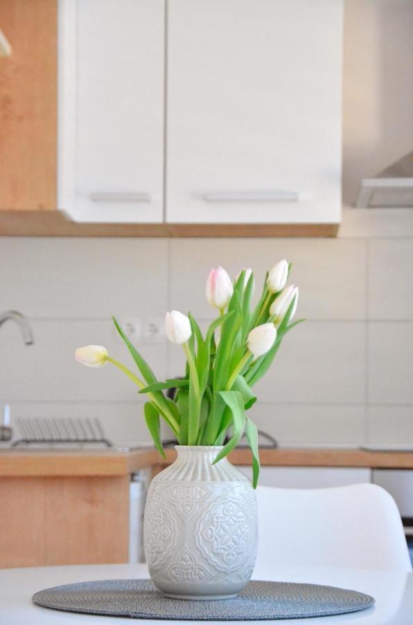 Apartman Mare ブラチェ エクステリア 写真